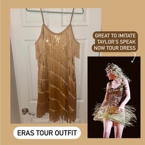 Gold Fringe Sparkle Dress